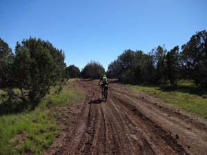 Arizona Trail Tag 5